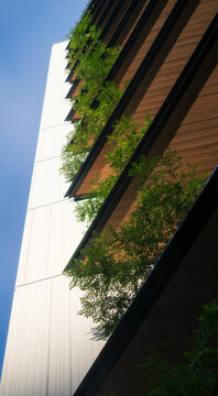 Biophilic Architecture with Green Terraces Against Blue Sky