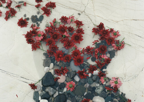 Red Flowers On White Rocks