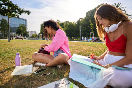 Female students studying together outdoors on campus grass