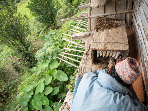 Traditional Bee Keeping