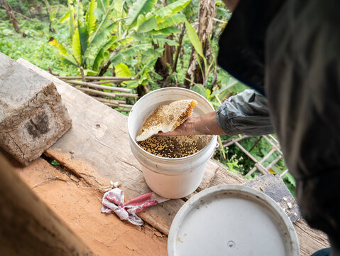 Traditional Bee Keeping