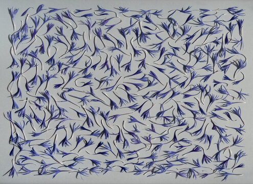 Abstract composition with mountain cornflower