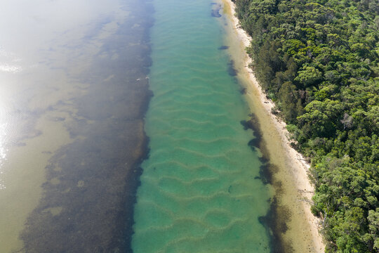 Channel in a coastal river bordered by a rock reef and vegetation