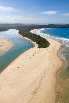 A strip of vegetation running along a sandy beach