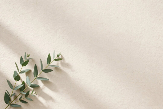 Minimal Botanical &ndash; Fine Art on Natural Light and Harmony