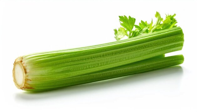 Single fresh green celery stalk on white background.