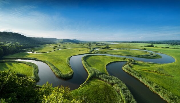 scenic view of winding water channels and green patches in a natural landscape during daytime