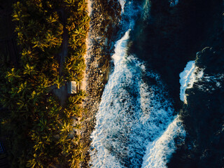 Sea coastline with coconut palms and warm sunrise or sunset tones in tropical Maldivian island