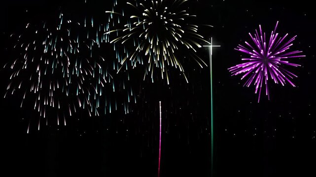 Colorful Festive Fireworks Display Night Sky Celebration Loop