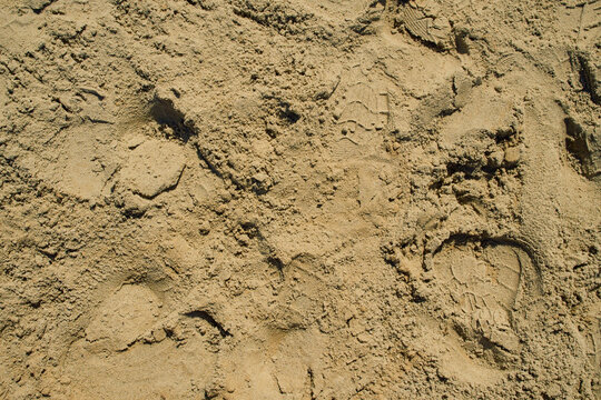 An abstract texture of yellow-brown construction aggregate sand with a shoe sole indentation