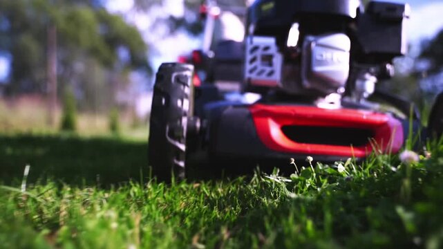 Mower cuts grass with precision and care. Red and black design stands out vividly. Grass blades blur as machine moves forward. Sunlight glints off grass and equipment