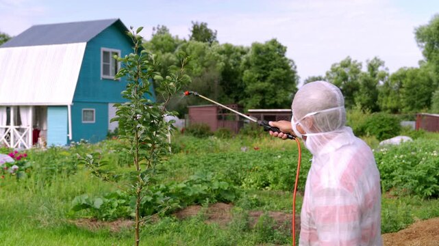 Farmer sprays garden plants with protective gear. Bright blue barn stands behind the green field. Person wears full hazmat suit to protect from chemicals. in this footage. Ideal for agricultural