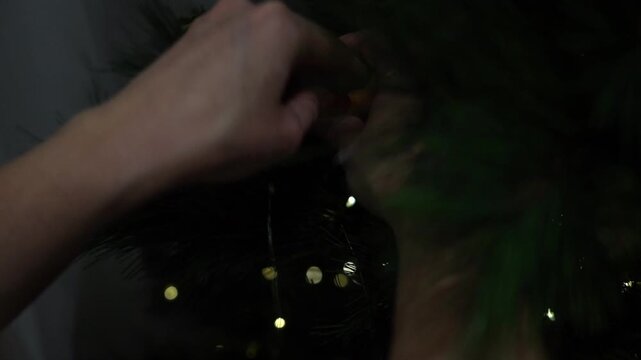 Hand adjusts pine needles on a Christmas tree. Glowing lights shimmer in the dark background. Person's focus shows quiet holiday preparation. Perfect for seasonal home decorating or festive scenes