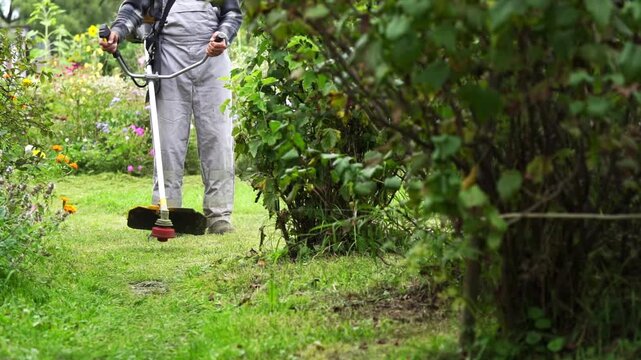 Man mows grass near bushes with handheld trimmer. Green grass shows signs of recent cutting. He moves slowly, focused on task ahead. Ideal for garden maintenance or outdoor care projects