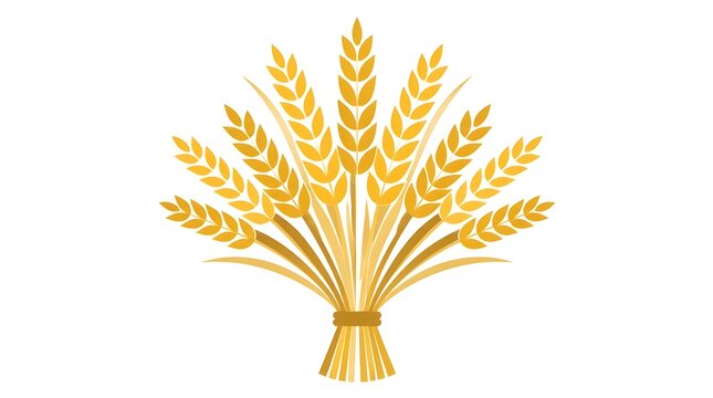 Flat vector illustration of a wheat sheaf with golden grains isolated on white background for harvest and agricultural graphics