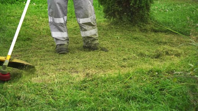Person mows grass with handheld trimmer. Green blades cut through lawn, creating neat edges. Worker wears safety pants and sturdy boots. Motion captures garden maintenance routine
