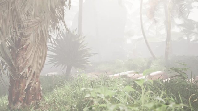 In a tropical forest, mist rises among tall trees and thick plants. Visibility is low as greenery surrounds the area, creating a mysterious atmosphere.