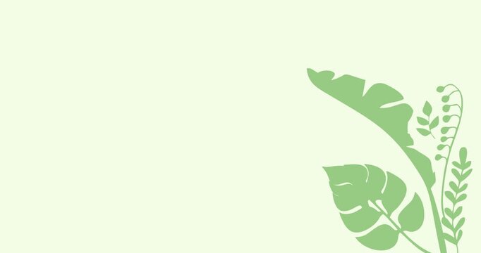 Leaf decoration animation on a light green background with copy space.