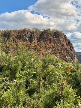Blick auf den Loreleyfelsen am Rhein.