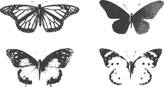 Butterfly Vector Set, Various Butterfly Silhouettes with Decorative Wing Patterns.
