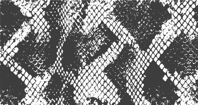 Snake Skin Texture, Realistic Animal Scale Pattern with Rough Grunge Effect on White.