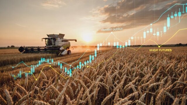 Combine harvester in a wheat field with digital financial market data overlay