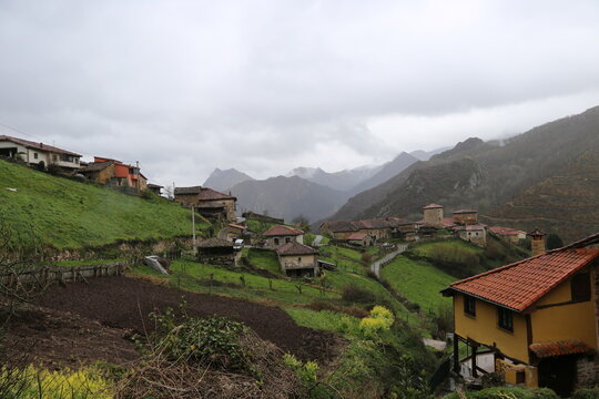 Paisaje rural