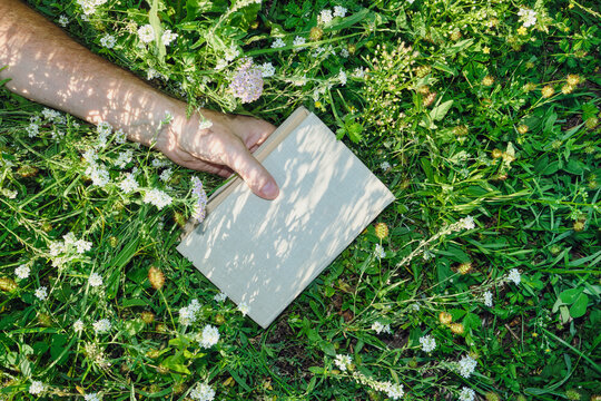 Hand holding book while relaxing on green grass with wild flowers under dappled sunlight