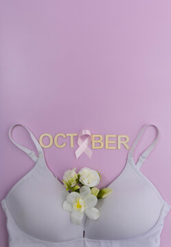 October breast cancer awareness with pink ribbon and bra