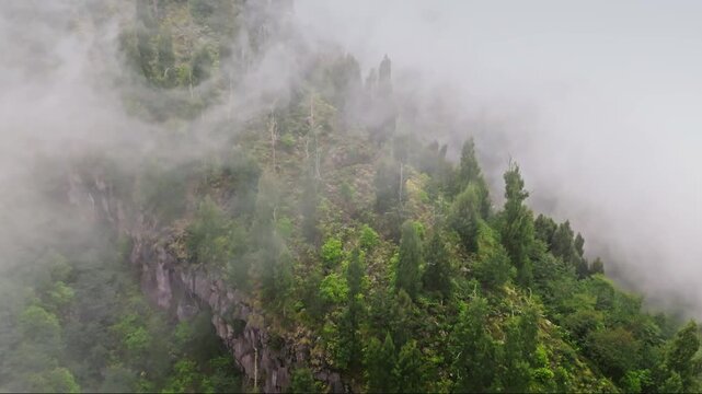 Mount Agung lush green slopes and rocky cliffs under morning clouds and mist. Travel and explore Bali, Indonesia. Dramatic, remote volcanic landscape of tropical island. Aerial view drone flight