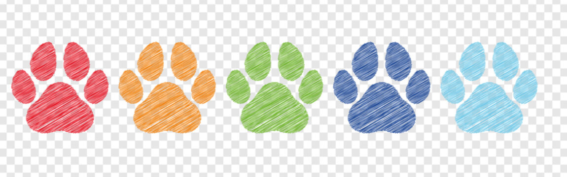 Five colorful paw prints in a row. stylized animal track icons representing pets. playful graphic element for animal lovers. decorative set of footprints with footprints colorful wildlife