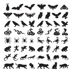 Fototapeta premium Set of Animal Silhouettes Vector Collection Featuring Birds, Fish, Dinosaurs, Cats, Lizards and Wildlife Icons for Nature, Design and Illustration