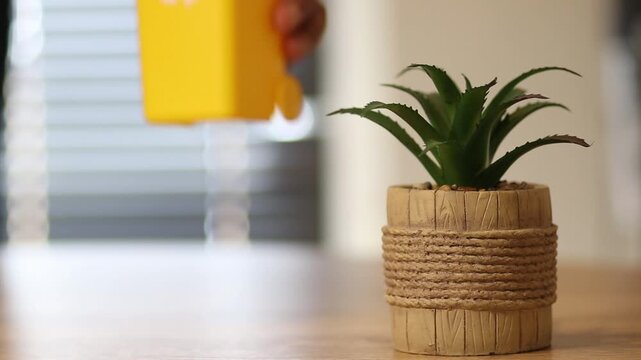 Person placing yellow miniature recycle bin next to a small green succulent plant representing the connection between waste management, sustainability, and nature