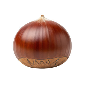 Single chestnut isolated on transparent background