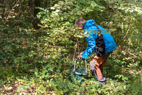 Person Hiking Through Dense Forest