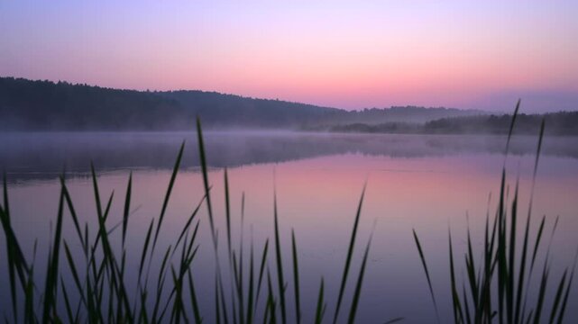 Misty lake at dawn with reeds and pastel sky