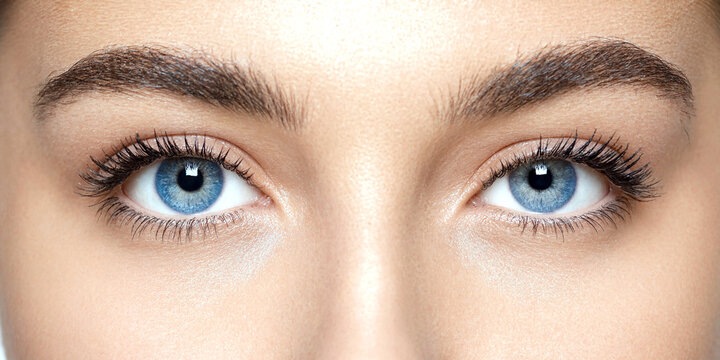 Close up of a pair of striking blue eyes with long dark eyelashes and perfectly shaped eyebrows against a plain background