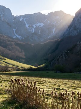 Meadow in Picos de Europa with sunrays and mountains visible