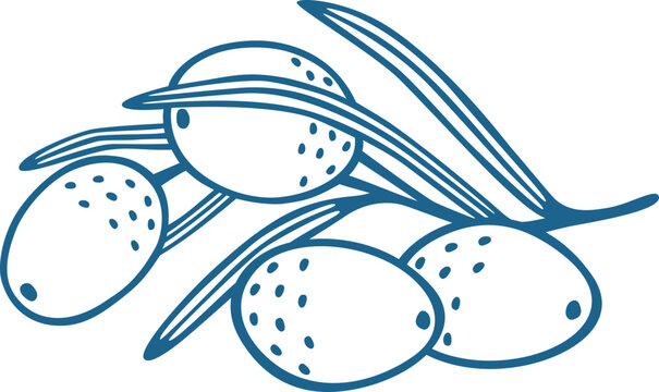 Hand Drawn Olive Branch with Leaves Line Art Vector Illustration