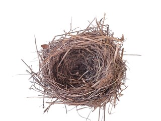 bird nest isolated on white background  © GIUSEPPE