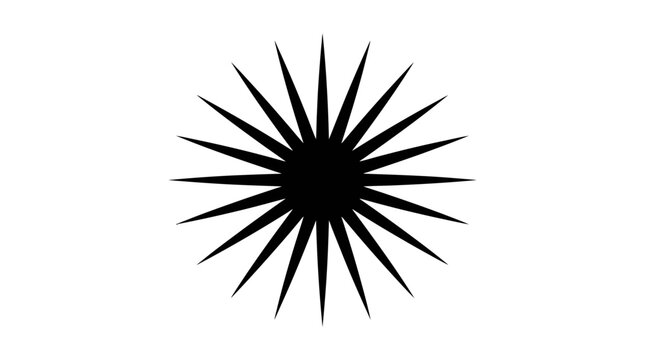 Geometric radial multi pointed sunburst star icon for modern design
