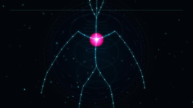 A professional, high-quality procedural motion graphic footage of a swirling ✏️ edit: anatomically shaped holographic circulatory system visual. Featuring glowing paths of #ff0055 solid theme on high