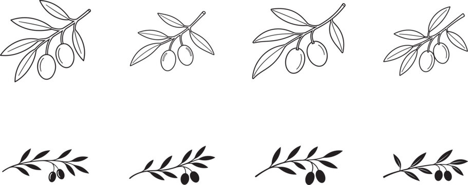 Olive oil label with olive branch and olives, retro organic emblem for farm shops, markets and brands.