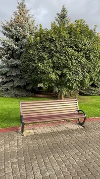 bench in the park