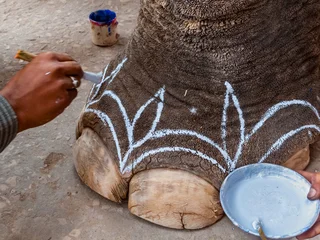 Elephant Toenail painting for Holi festival © Pete Niesen Photo