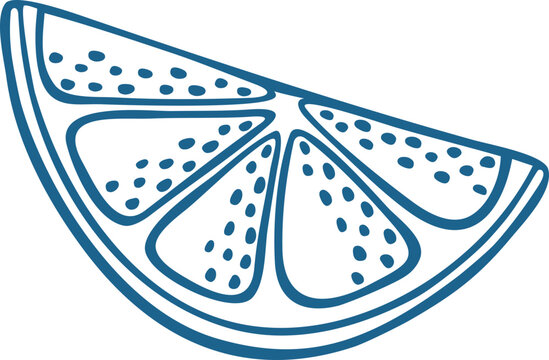 Lemon Slice Line Art Vector Illustration Hand Drawn