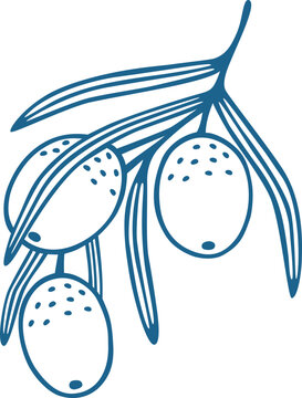 Olive Branch Hand Drawn Line Art Vector Illustration