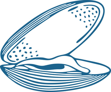 Open Mussel Shell Hand Drawn Vector Line Art Illustration