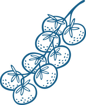 Cherry Tomatoes Vine Hand Drawn Vector Line Art Illustration
