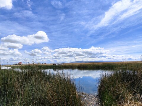 Humedal de totora en el lago Titicaca con cielo nublado en Per&uacute;